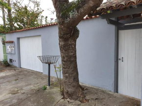 2 casas para famílias Cabo Frio para até 15 pessoas